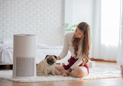 Everything You Need to Know About Air Filters and Purifiers