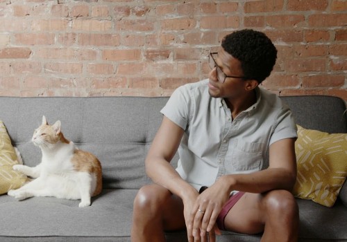 Stop Overlooking This Filter: How 11.25x11.25x1 Air Filters Deliver Big on Clean Air and System Protection